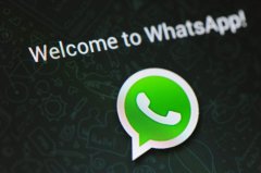 WhatsApp筛号辅助讲解推荐！