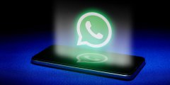 WhatsApp数据抓取工具 - 快速提取用户信息