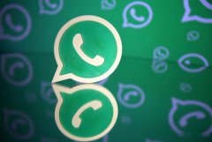 WhatsApp快速获取用户信息