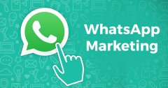一文讲懂WhatsApp号码筛选