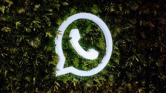 如何在WhatsApp上做消息群发？