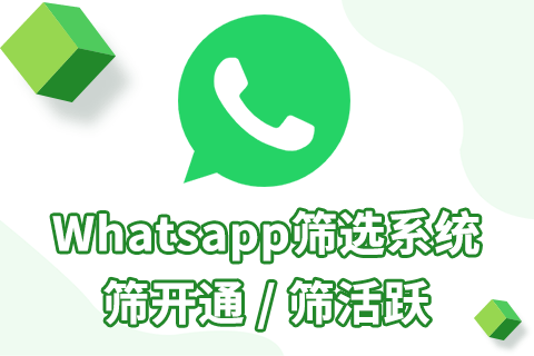 whatsapp筛选，用最低成本做最大效果！