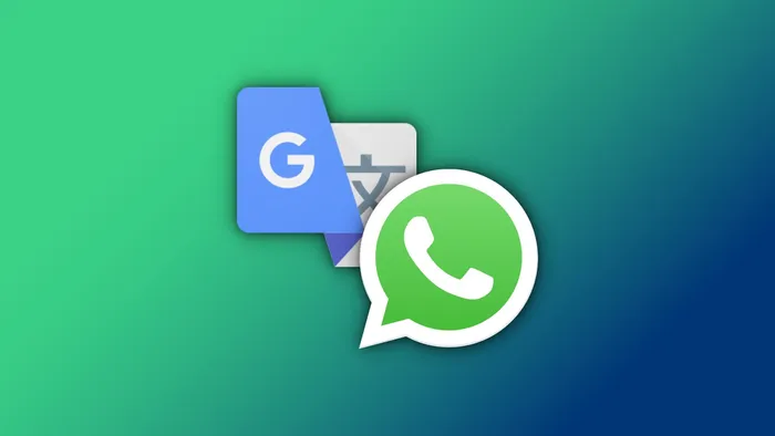 whatsapp可以直接翻译中文吗？