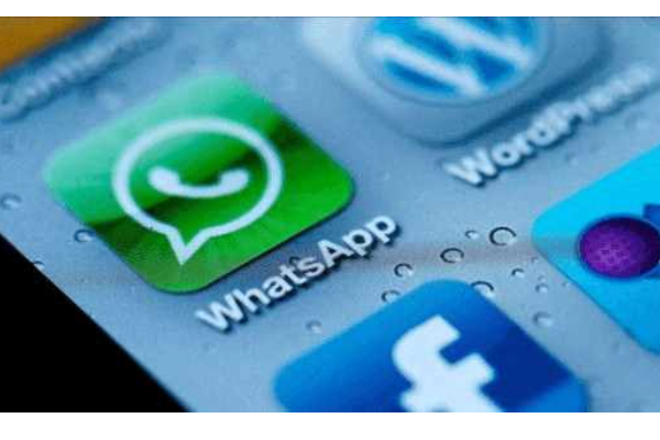 批量WhatsApp号码检查-WhatsApp号码检查器