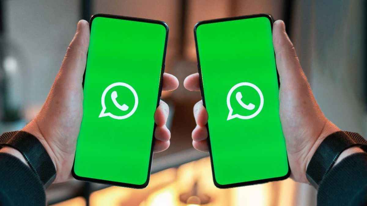 WhatsApp活跃筛选器-WhatsApp号码检查器