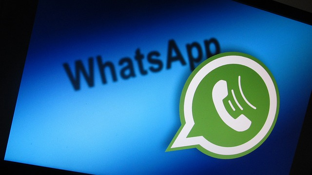 如何从WhatsApp中提取电话号码？