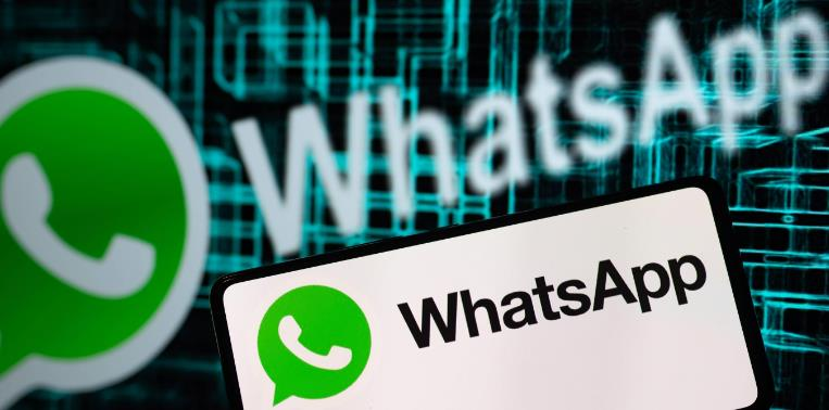 Whatsapp 电话号码过滤器和验证器