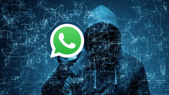 免费的WhatsApp联系人提取器