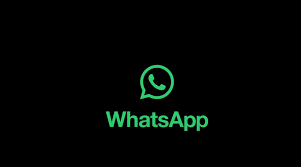 WhatsApp怎样自动翻译？