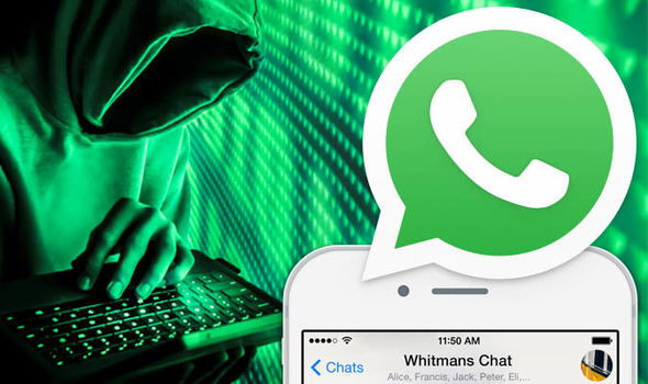 如何检查whatsapp号码？