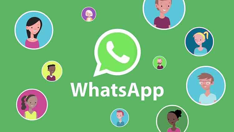 WhatsApp群发辅助器如何选择?