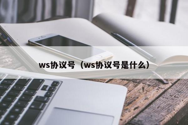 WS协议号购买，批量引流精准客户，速度快、稳定群发效果好