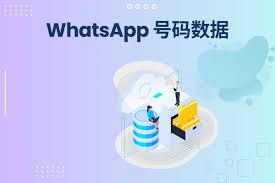 WhatsApp筛号器，跨境企业获客的专业工具!